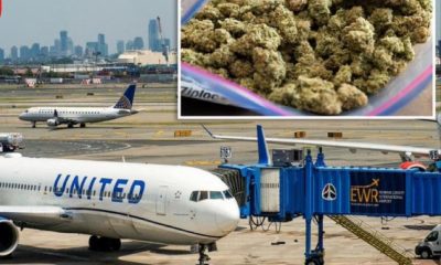 United Airlines Workers Allegedly Made $10K A Week Stealing Weed From Luggage