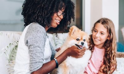 A Rich Family Looking For A Live In Dog Nanny For $127K A Year