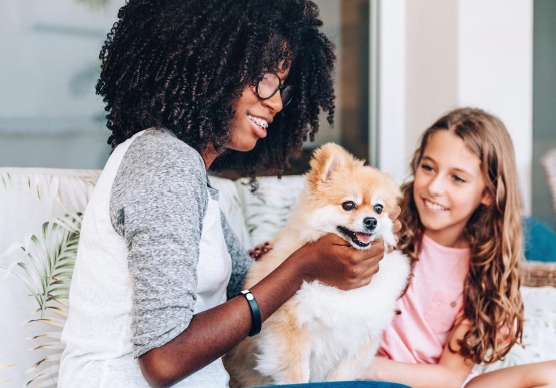 A Rich Family Looking For A Live In Dog Nanny For $127K A Year