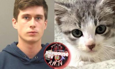 Man Accused Of Killing 6 Kittens Since May, He Replaced Each One With A Similar Kitten To Prevent His Mom From Knowing