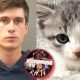 Man Accused Of Killing 6 Kittens Since May, He Replaced Each One With A Similar Kitten To Prevent His Mom From Knowing