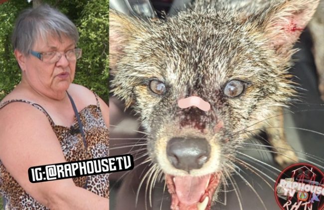 Woman Bites Rabid Fox To Escape
