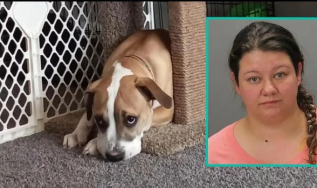 30-Year-Old Woman Charged With Animal Abuse After Being Caught On Camera Sexually Assaulting Her Dog