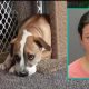 30-Year-Old Woman Charged With Animal Abuse After Being Caught On Camera Sexually Assaulting Her Dog