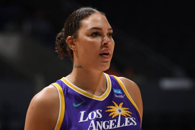 Video Of Former WNBA Star Liz Cambage's Fight With A Nigerian Player Surface