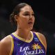 Video Of Former WNBA Star Liz Cambage's Fight With A Nigerian Player Surface