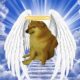 Social Media Users Mourn The Death Of Cheems, The 'Doge' Meme Dog