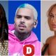 Chris Brown Claims He Smashed Quavo’s New Girlfriend Erica Fontaine On ‘FTCU’ Remix