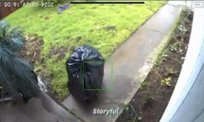 Man Shares Video Footage Of A Person Stealing A Package From His Home While Disguised As A Bag Of Trash