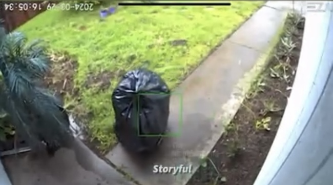 Man Shares Video Footage Of A Person Stealing A Package From His Home While Disguised As A Bag Of Trash