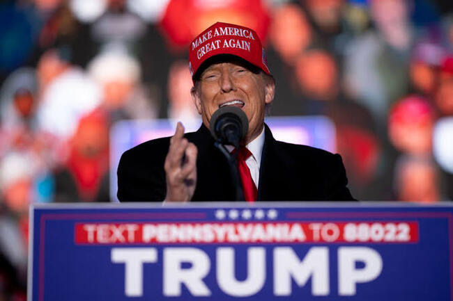 Man Displays Q Sign On His Phone During Donald Trump’s Rally At Pennsylvania In Viral Video 